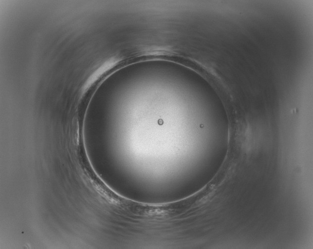 X0000078021317200610271223