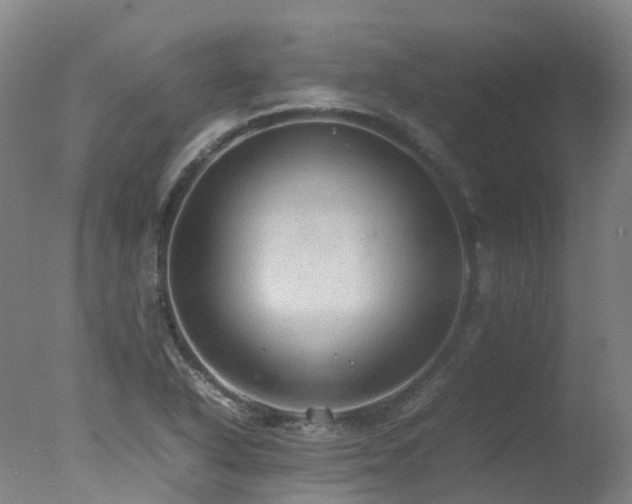 X0000078021318200610271223