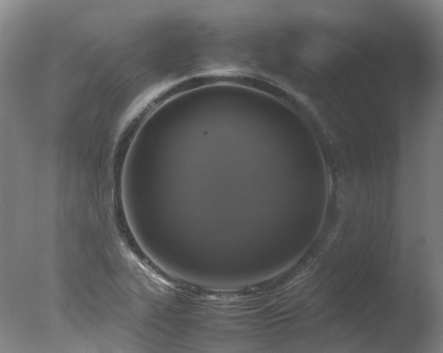 X0000078021319200610271223