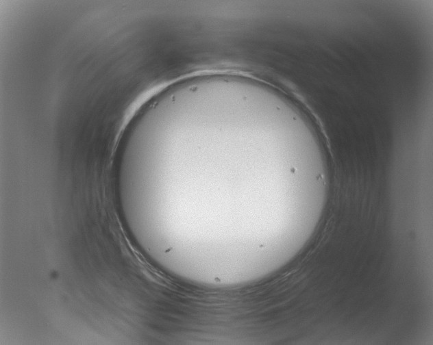 X0000078021320200610271223