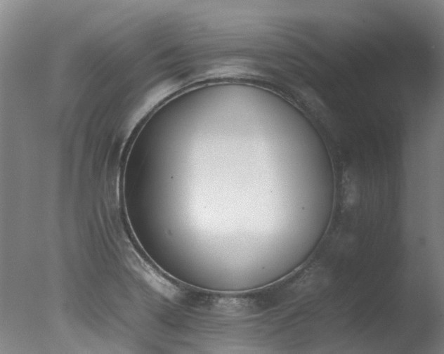 X0000078021322200610271224