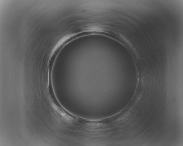 X0000078021323200610271224