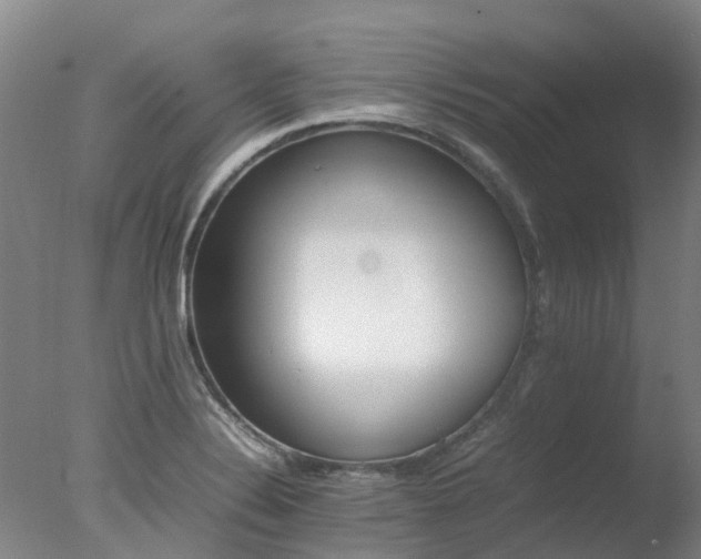 X0000078021324200610271224