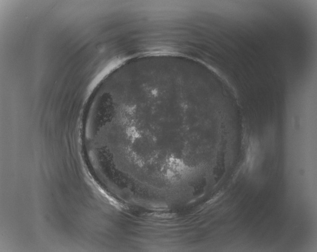 X0000078021325200610271224