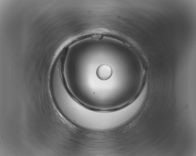 X0000078021326200610271224