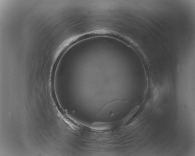 X0000078021327200610271224