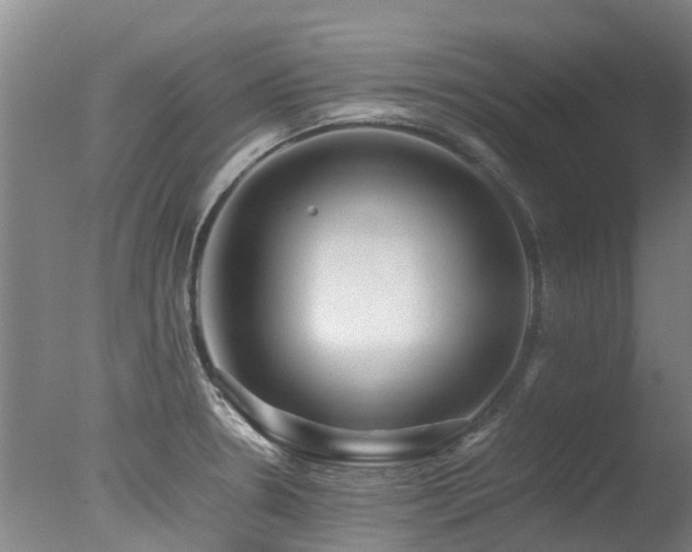 X0000078021330200610271224