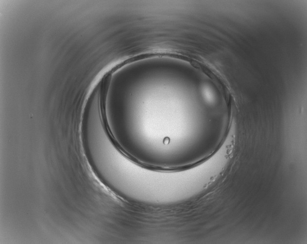 X0000078021331200610271224