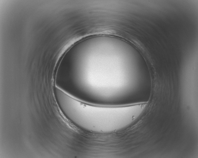 X0000078021332200610271224