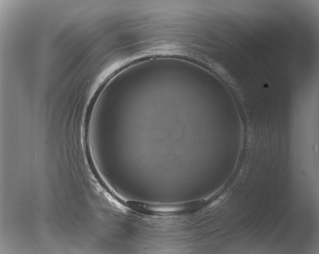 X0000078021334200610271224