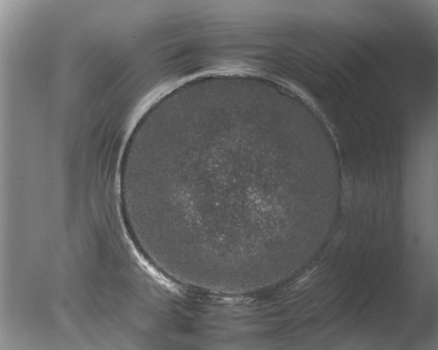 X0000078021335200610271224