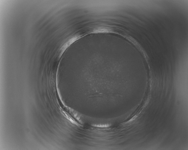 X0000078021337200610271224