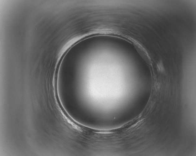 X0000078021343200610271224