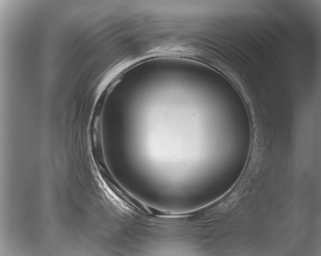 X0000078021344200610271224