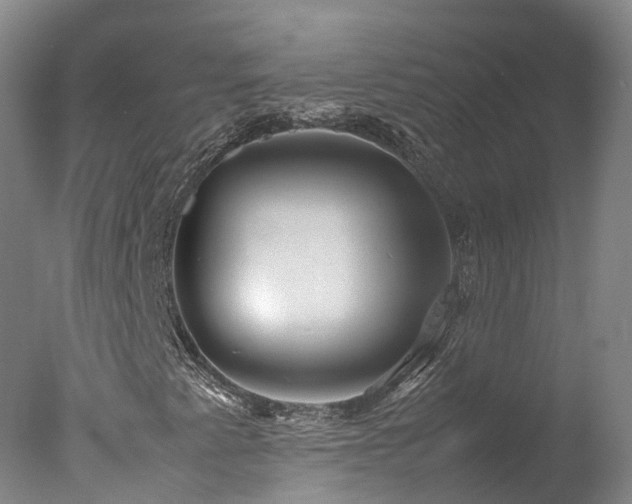 X0000078021345200610271223