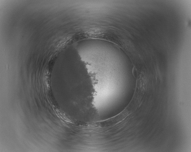 X0000078021346200610271223