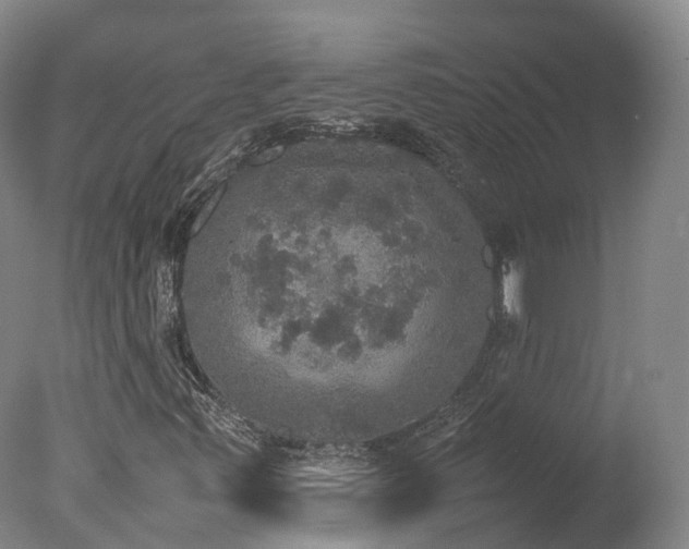 X0000078021347200610271223