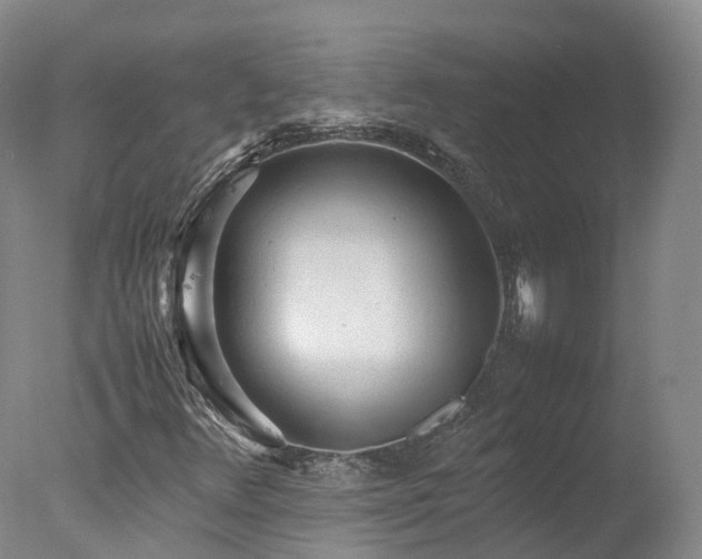 X0000078021348200610271223