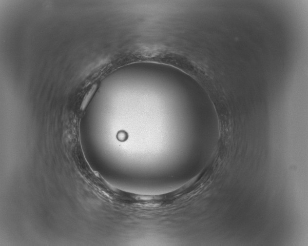 X0000078021349200610271223