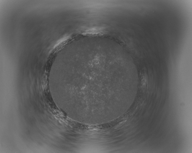 X0000078021350200610271223