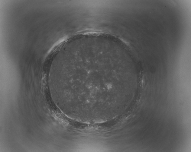 X0000078021351200610271223