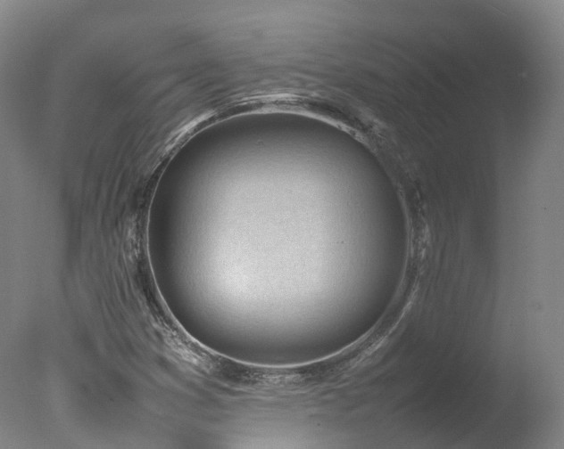 X0000078021353200610271223