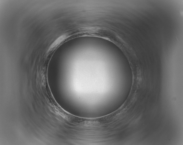 X0000078021354200610271223