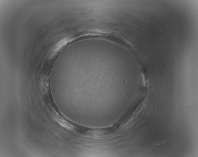 X0000078021355200610271223