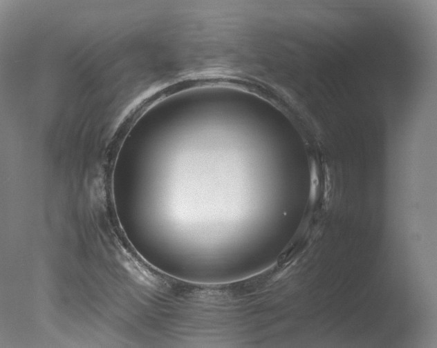 X0000078021356200610271223