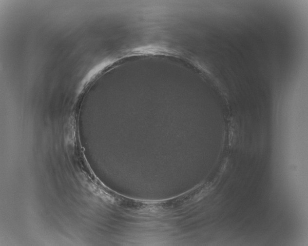 X0000078021358200610271223