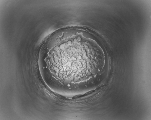 X0000078021359200610271223