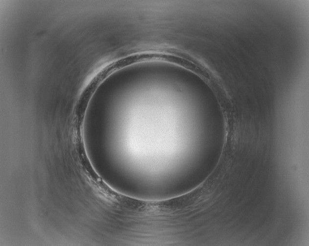 X0000078021360200610271223