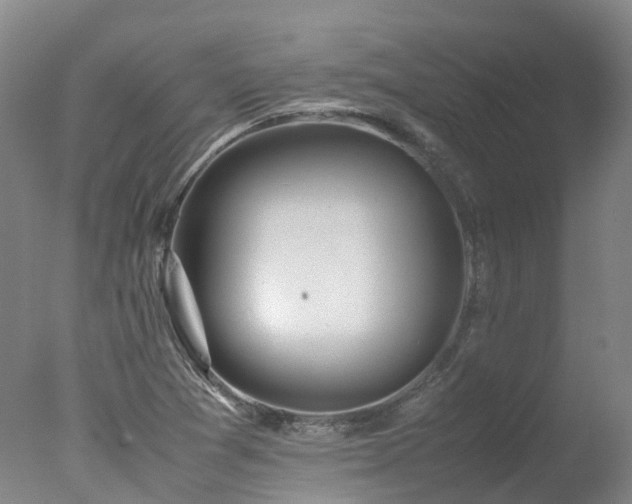 X0000078021361200610271223