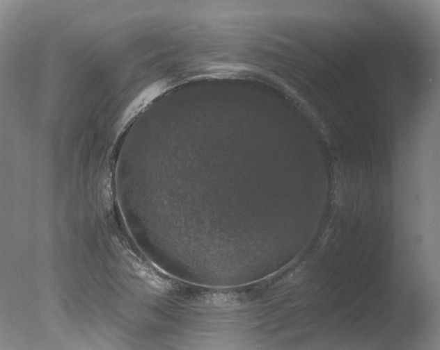 X0000078021362200610271223