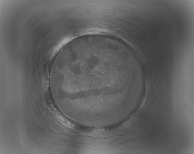 X0000078021363200610271223