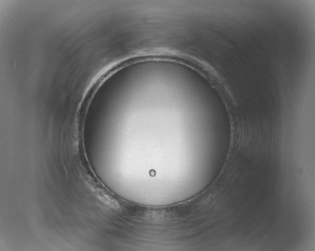 X0000078021364200610271223