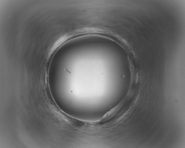 X0000078021365200610271223