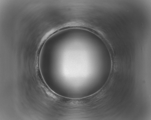 X0000078021366200610271223