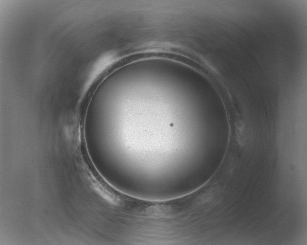 X0000078021368200610271223