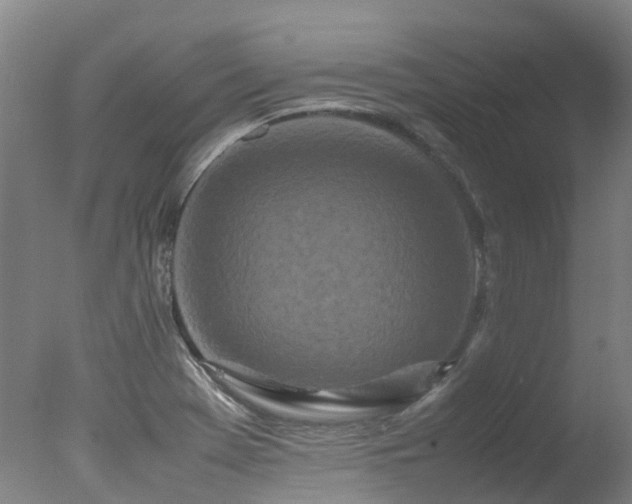 X0000078021369200610271223