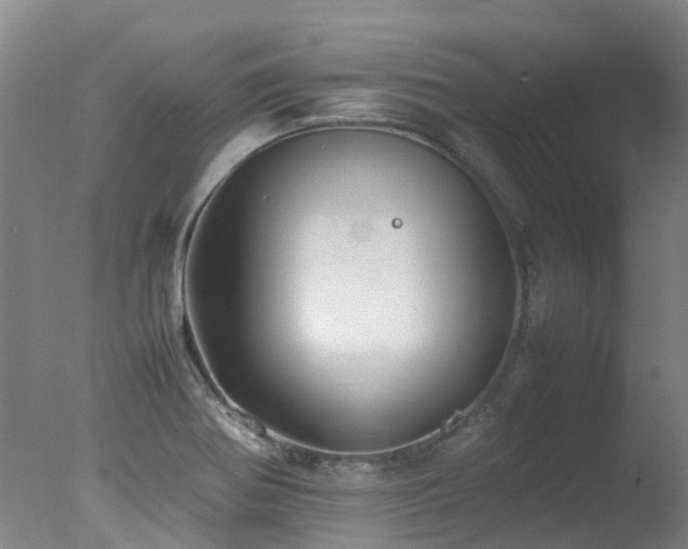 X0000078021370200610271223