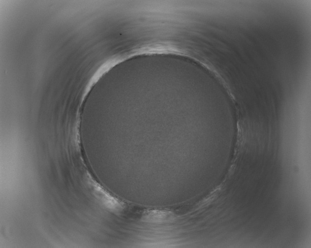 X0000078021374200610271223