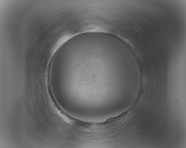 X0000078021375200610271223