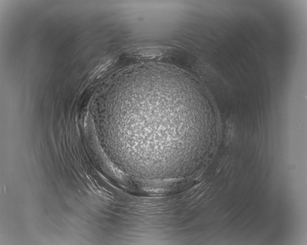 X0000078021394200610271221
