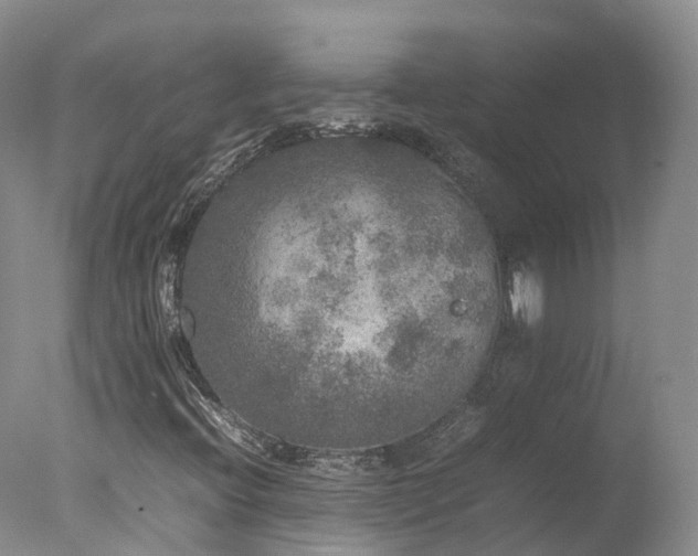 X0000078021396200610271222