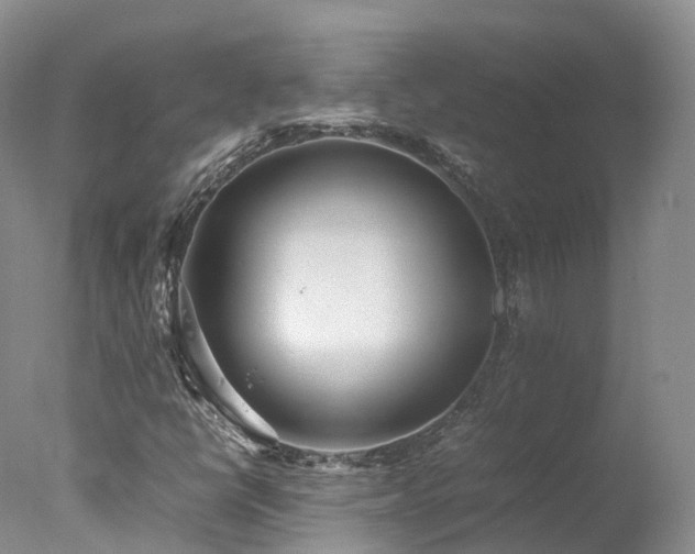 X0000078021398200610271222