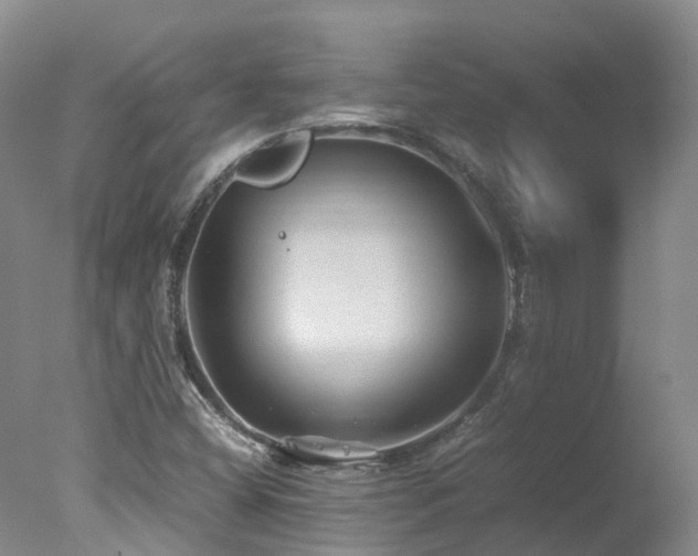 X0000078021404200610271222