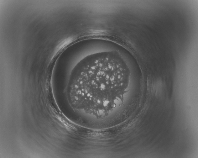 X0000078021405200610271222