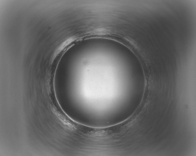 X0000078021410200610271222