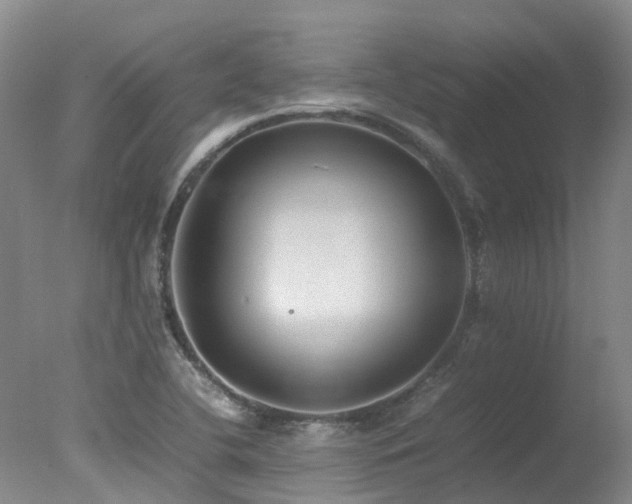 X0000078021412200610271222